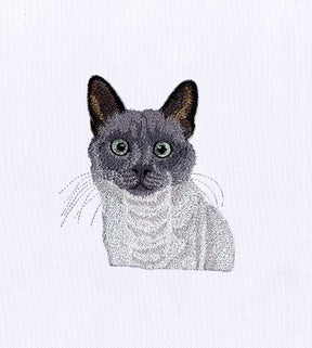 Beady Eyed Cat Embroidery Design