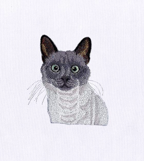 Beady Eyed Cat Embroidery Design