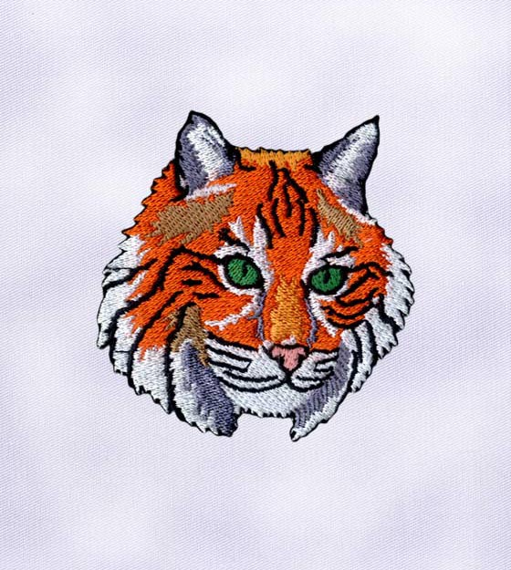 Bright and Beautiful Cat Embroidery Design