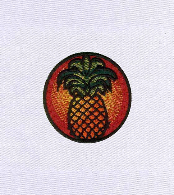 Colorful Fruity Pineapple Embroidery Design