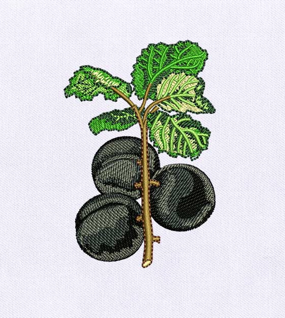 Dark and Juicy Plum Embroidery Design