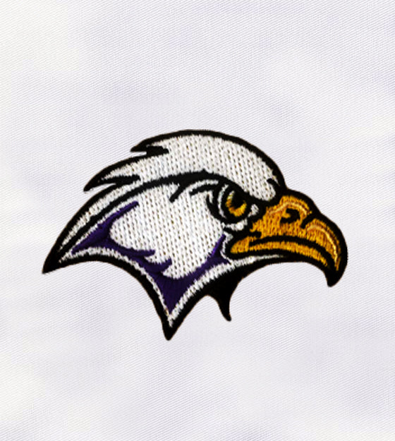 Incredible Hawk Face Machine Embroidery Design