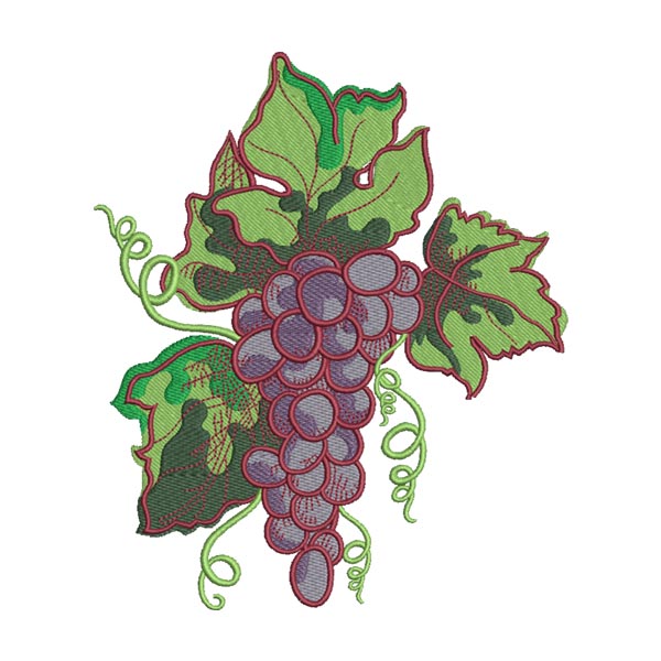 Grapes Embroidery Design – Purple Grapes with Vines