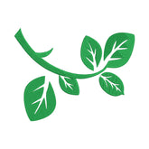 Leaf Vine Embroidery Design
