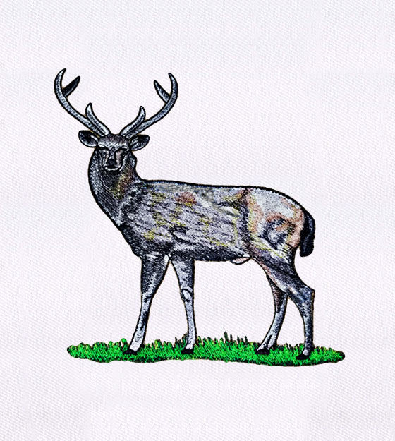 Deer Embroidery Design – Realistic Buck Machine Embroidery File