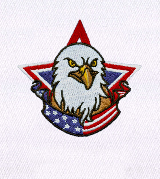 US Pride Bald Eagle Embroidery Design