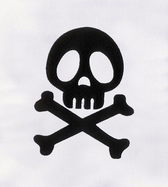 Skull & Crossbones Embroidery Design