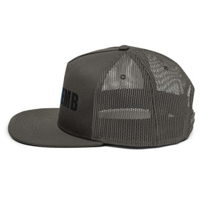 Mesh Back Snapback