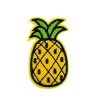 Tasteful and Piquant Pineapple Fruit Embroidery Patch
