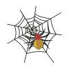 Captivating Colorful Spider Web Halloween Embroidery Design