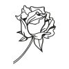 Charming Rose Flower Line Art Drawing Embroidery Design