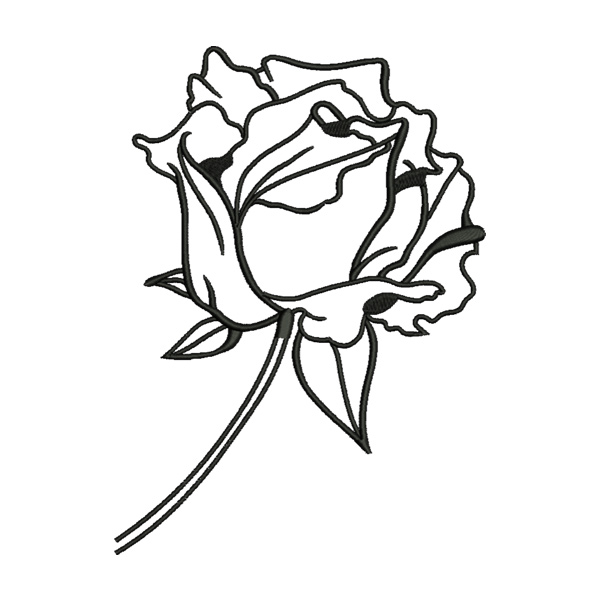 Charming Rose Flower Line Art Drawing Embroidery Design – DigitEMB