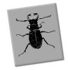 Stag Beetle Silhouette Art