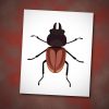 Overwhelming Stag Beetle Vector Art