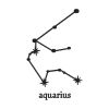Stellar Aquarius Star Sign Silhouette Embroidery Design