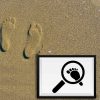 Magnifying Footprint Silhouette Art