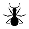 Big Black Ant Silhouette Art