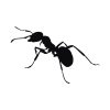 Tenacious Black Ant Silhouette Art