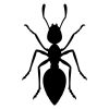 Carpenter Black Ant Silhouette Art