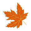 Autumn Light Brown Maple Leaf Vector Art