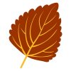 Elegant Autumn Leaf Vector Art