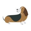 Exotic Basset Hound Looking His Tail Vector Art