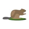 Cute Beaver Vector Art | Brown Beaver Vector | Beaver Sitting on Grass Vector | SVG Beaver Vector File