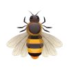 Beautiful 3D Honey Bee Vector Art