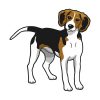 Bewildering Beagle Dog Vector Art