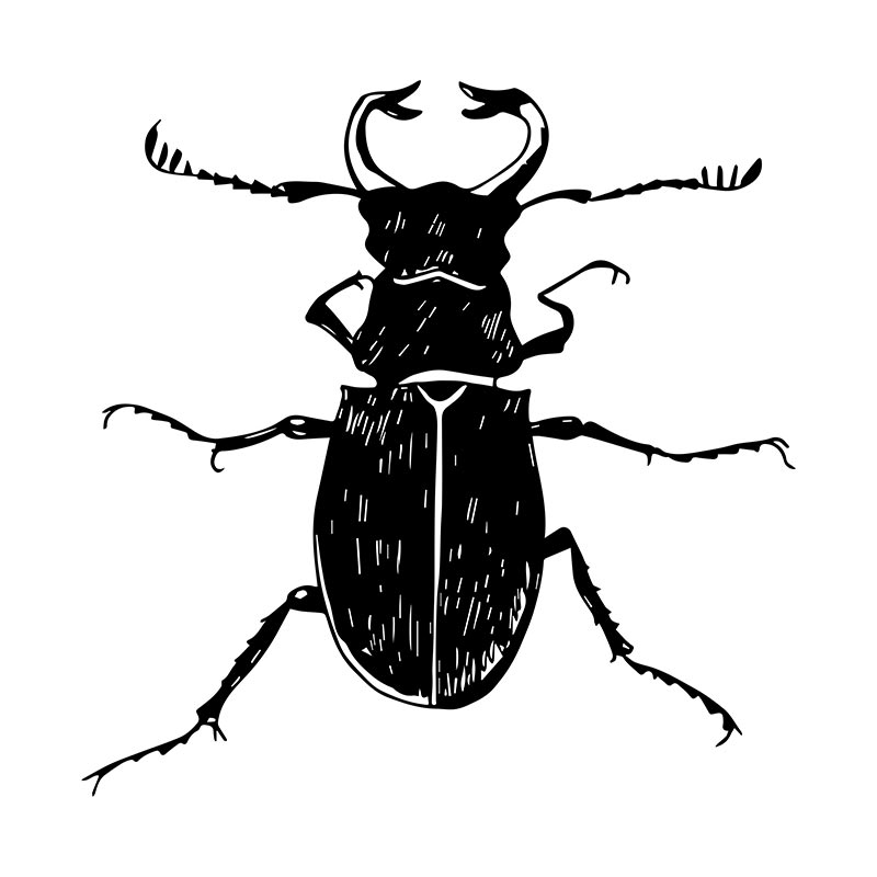 Beetle Silhouette – DigitEMB