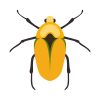Goldsmith Scarab Beetle  Vector Art