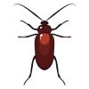Adaptable Cockroach Vector Art