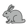 Adorable Grey Rabbit Vector Art