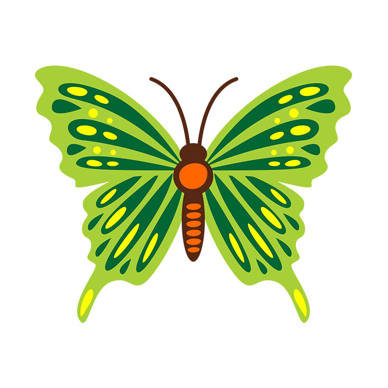 Green Decorated Colorful Butterfly Vector Art – DigitEMB