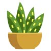 Queen Victoria Agave Cactus Vector Art