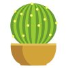 Unique Star Cactus Plant Vector Art