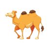 Cartoonish Bactrian Camel Vector Art