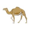 Walking Dromedary Camel Vector Art