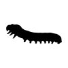 Hornworm Caterpillar Silhouette Art