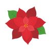 Compelling Christmas Star Poinsettia Plant Vector Art
