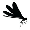 Dragonfly Side View Silhouette Art