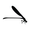 Emperor Dragonfly Side View Silhouette Art