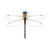 Blue Dasher Dragon Fly Vector Art