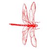 Artistic Scarlet DragonFly Vector Art