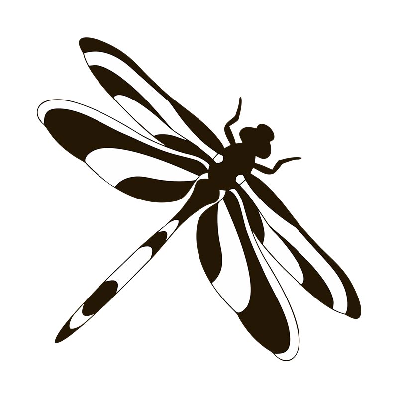 Download Twelve Spotted Skimmer Dragonfly Eps Ai Svg Pdf Png Clip Arts