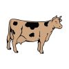 Dairy Ayrshire Milk Cow Vector Art