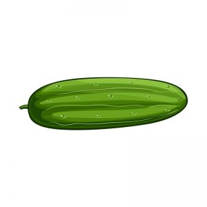 Cucumber Vector
