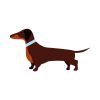 Elegant Chocolate and Tan Dachshund Dog Vector Art