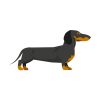 Adorable Black and Tan Dachshund Dog Vector Art