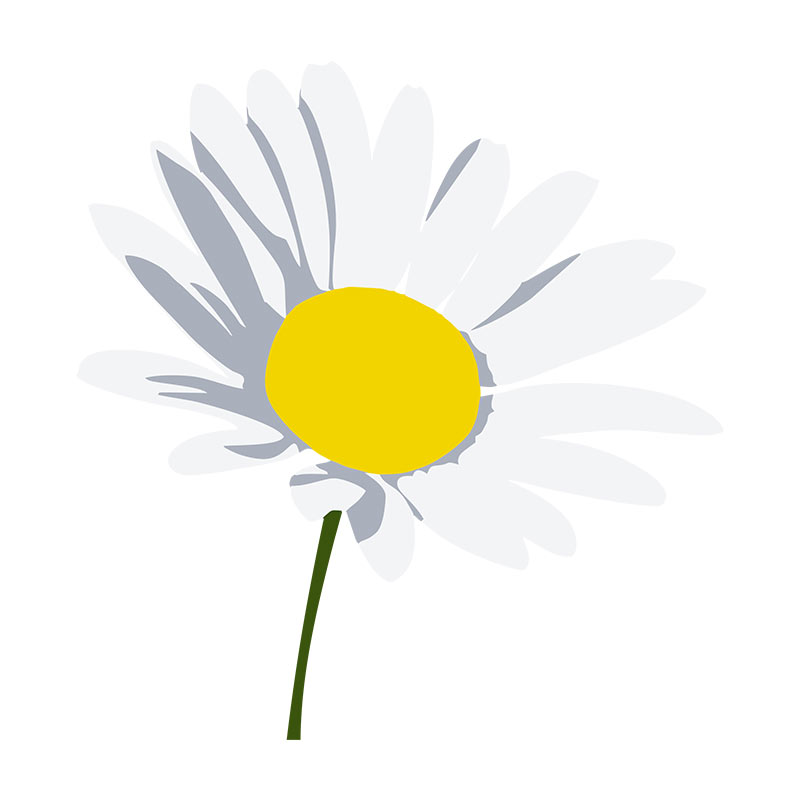 Free Free 256 Vector Daisy Flower Svg SVG PNG EPS DXF File